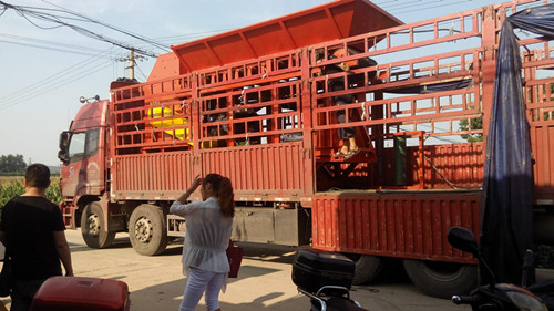 (ni)ɹ~R{Ƅ(dng)ʽC(j)l(f)؛F(xin)(chng)c(din)